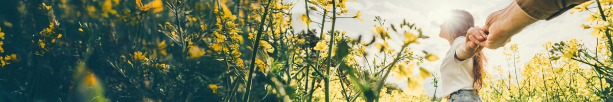 Footer banner