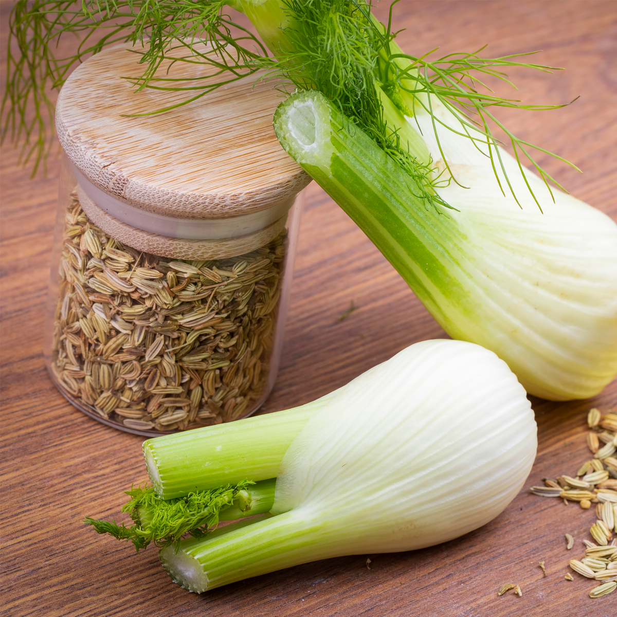 Fenchelsamen ganz (100g)