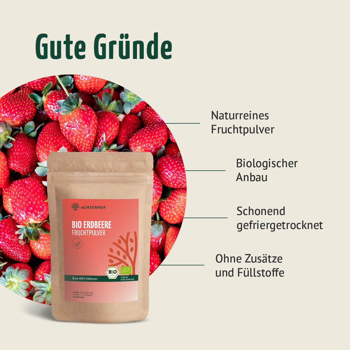 Bio Strawberry Matcha Latte Set