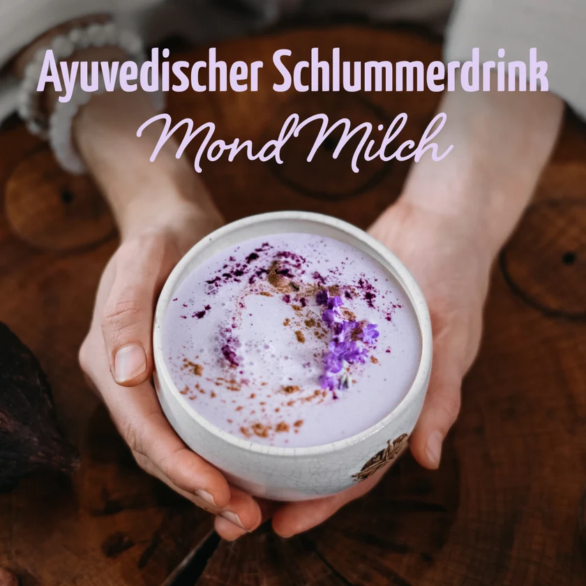 Mond Milch Mischung 3er Bio Set + Frischhaltedosen