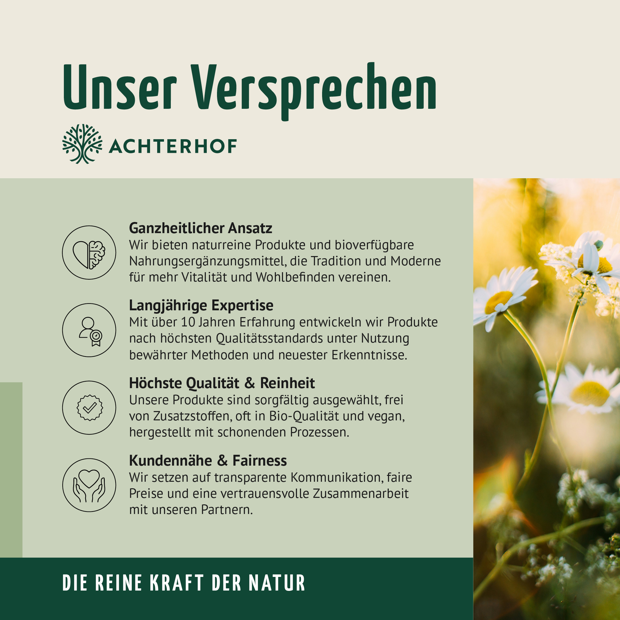 Natron Natriumhydrogencarbonat 500g