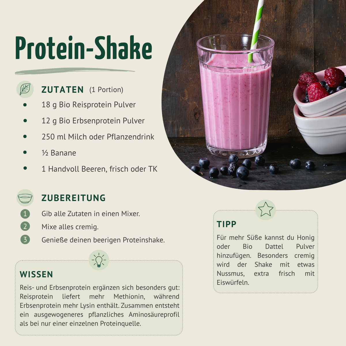 Bio Reisprotein Pulver (500g)