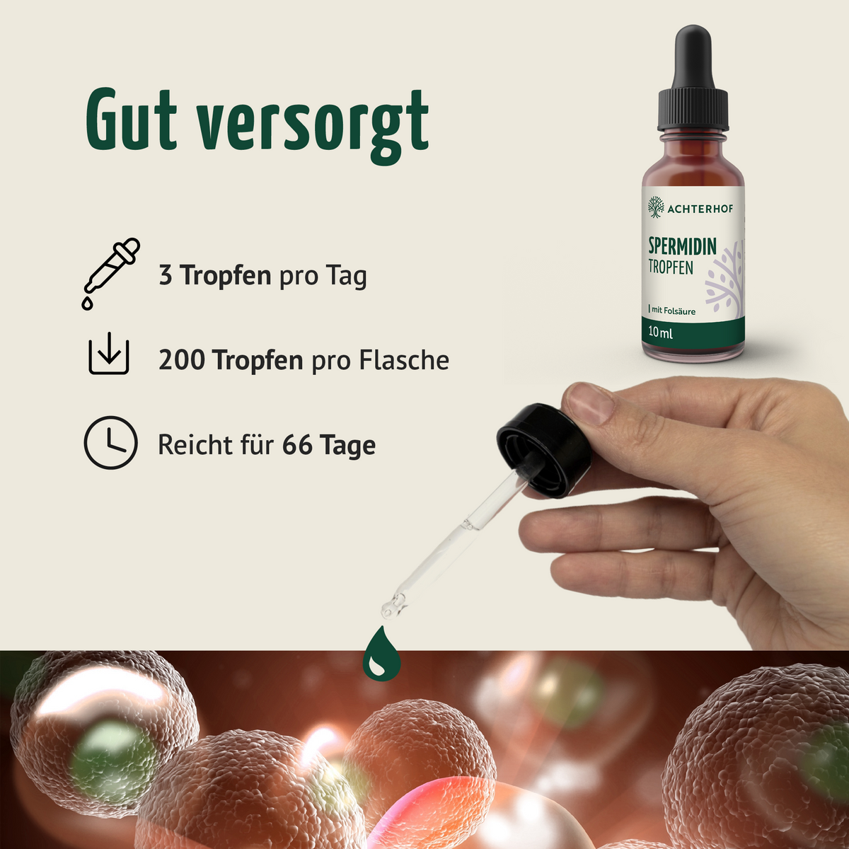 Essential Reds & Spermidin Tropfen Set