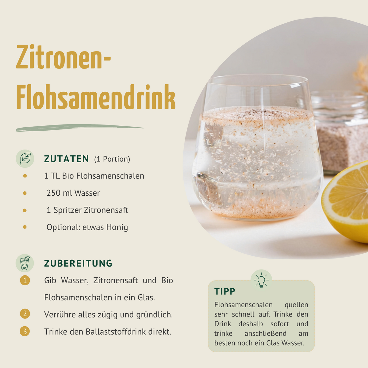 Flohsamenschalen Bio (500g)