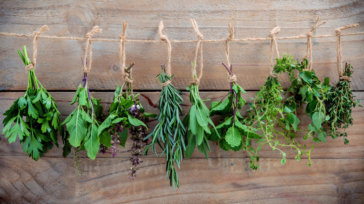 Pflanzenpulver: Greens