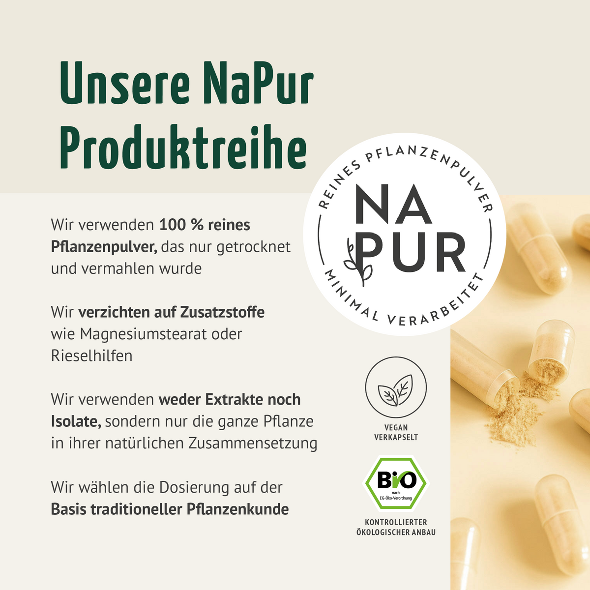 Bio Astragalus Kapseln (180 Kapseln)