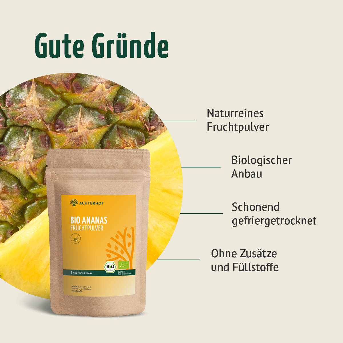 Bio Ananas Fruchtpulver (250g)