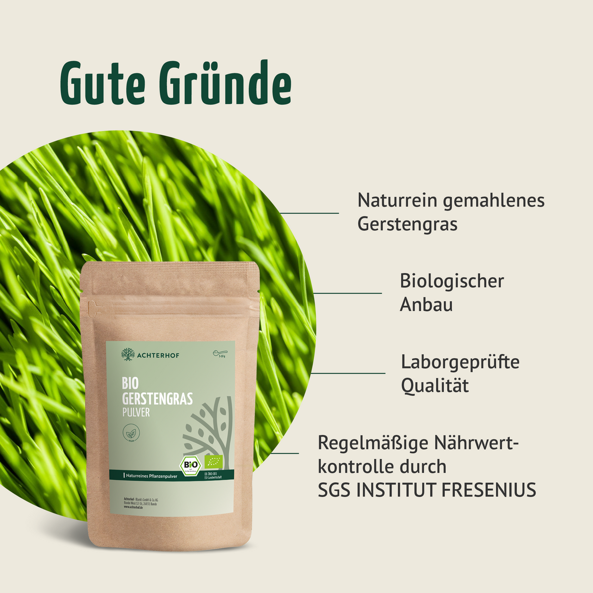 Goldene Milch Mischung 5er Set mit Vitamin D3 + K2