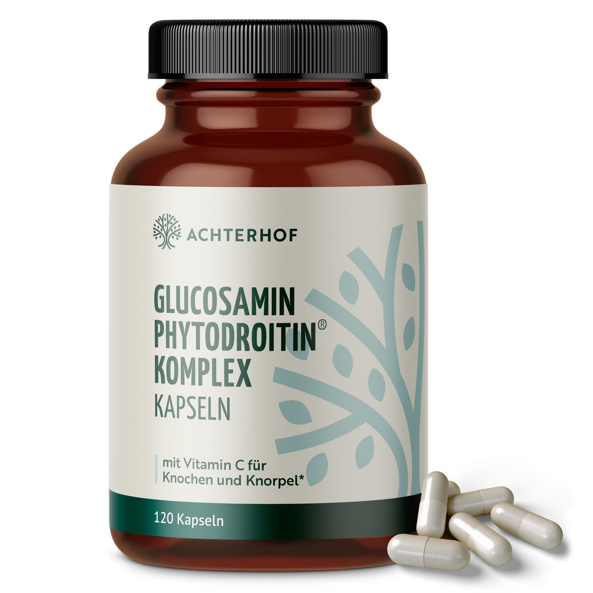 Glucosamin Phytodroitin® Komplex (120 Kapseln)