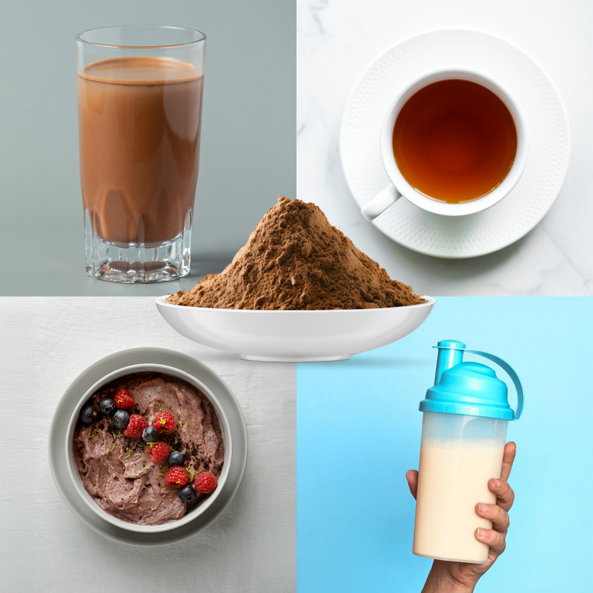 Bio Reishi Pilzpulver (250g)