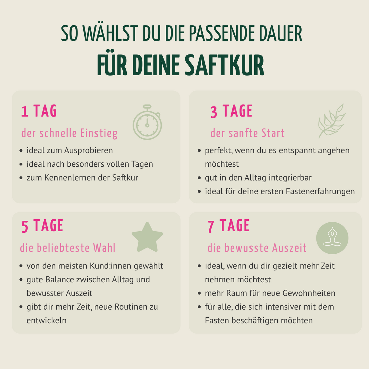 Saftstart Bio Fastenkur 1-7 Tage (6 Flaschen pro Tag)