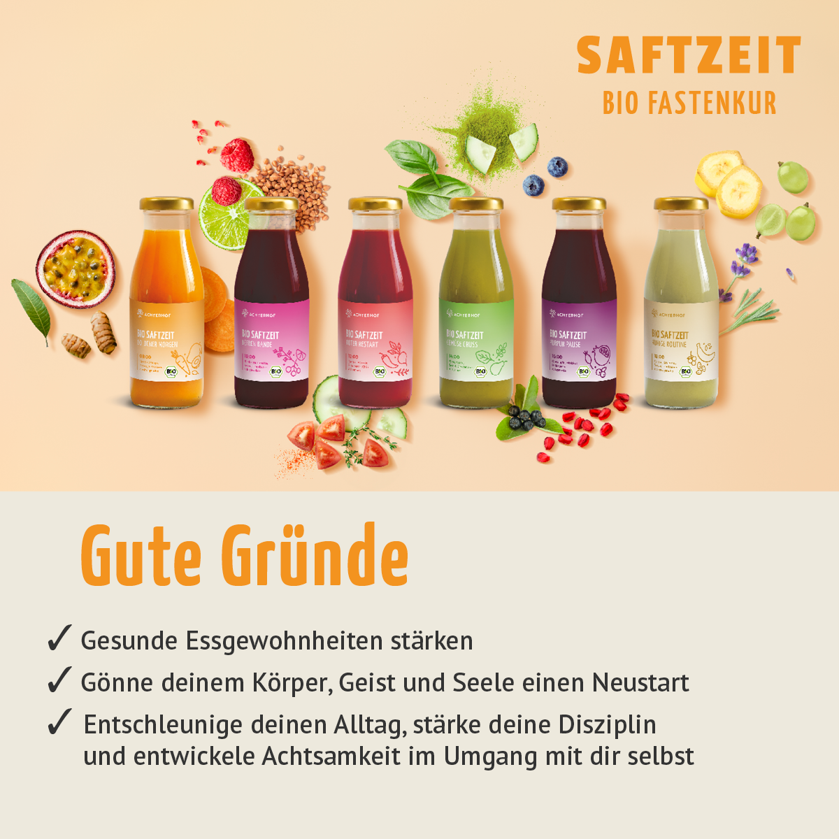 Fasten Mikronährstoff Paket