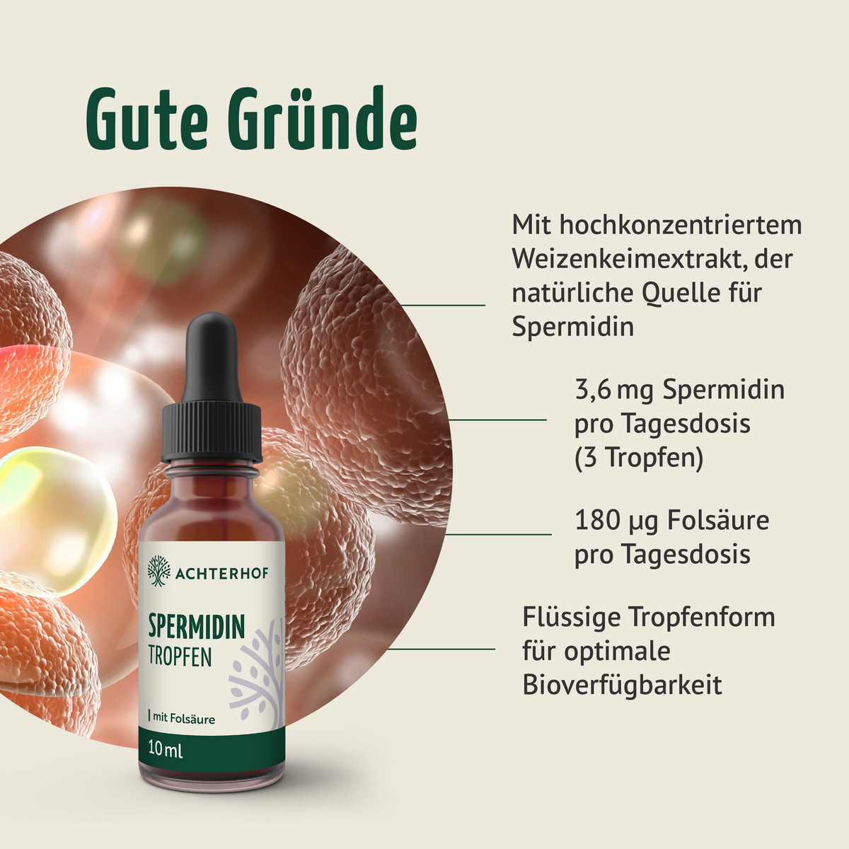 Essential Reds & Spermidin Tropfen Set