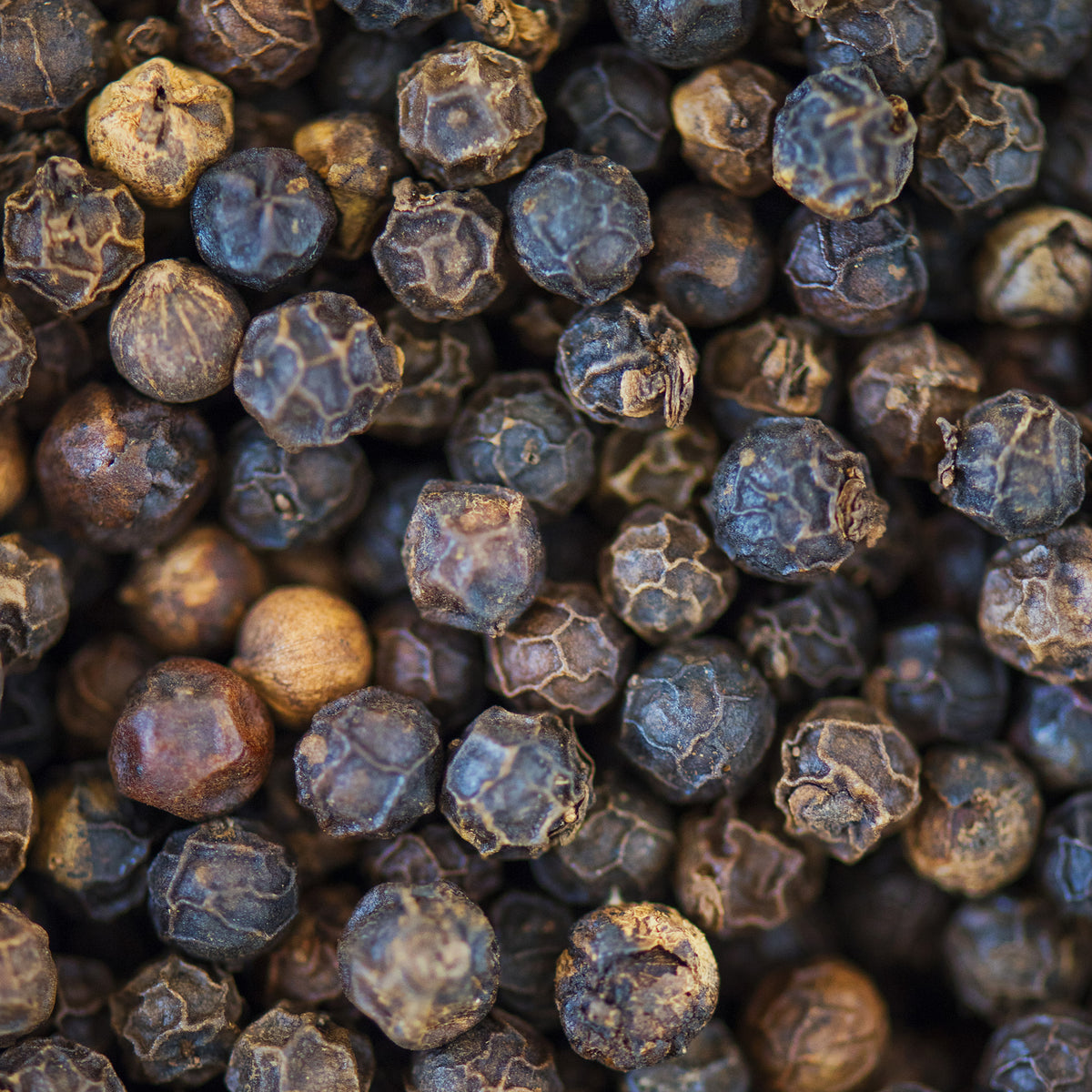 Tellicherry Pfeffer ganz (100g)