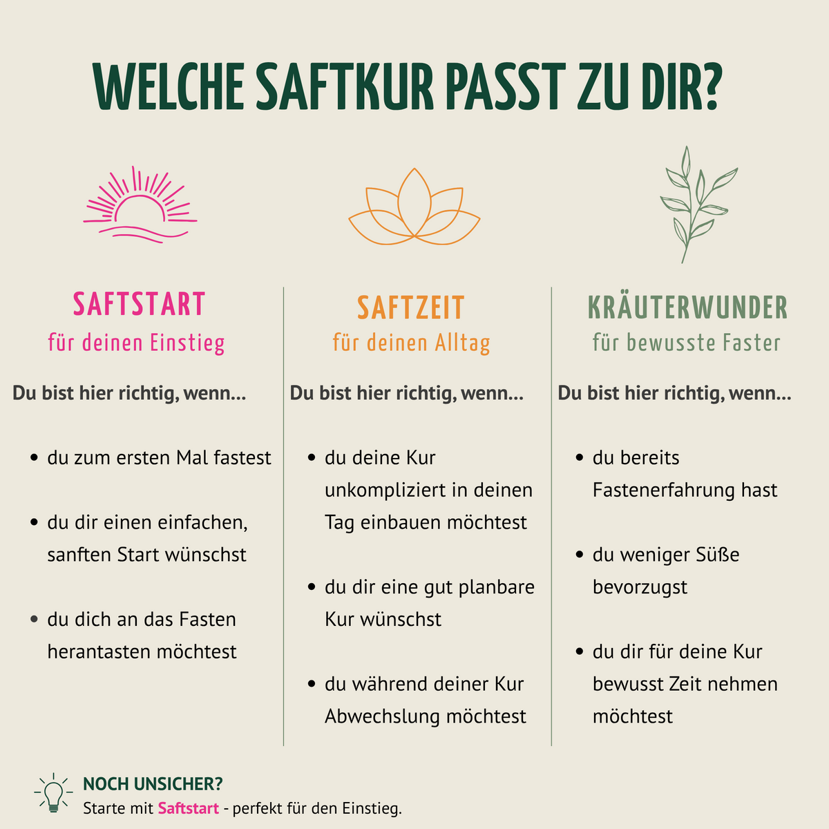 Saftstart Bio Fastenkur 1-7 Tage (6 Flaschen pro Tag)
